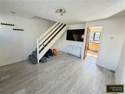 Picture 3